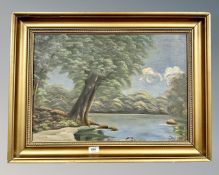 Continental school : a tree by a lake, oil on canvas,
