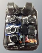 A tray containing three Olympus camera bodies, two OM-10s, an OM-2 and an OM-40,