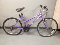 A Passion Pagan girl's mountain bike.