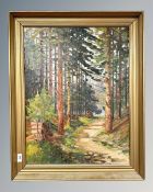 Continental school : A track through woodland, oil on canvas, 50cm by 65cm.