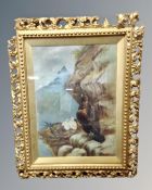 W. Rayworth : Falcon with chicks, oil on canvas, in gilt frame.