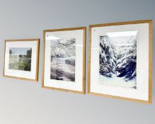 David Belilios : 'Walk Line' and 'Frozen Reed' mono photographs,