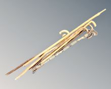 A bundle of walking sticks