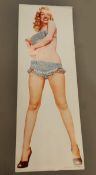 Marilyn Monroe pin ups door poster, 21.5