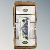 Six packs of Garden Kraft LED string solar light twin packs, boxed.