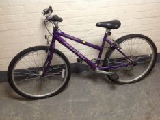 A Rally Vixen 18-speed girl's mountain bike.