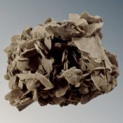 A desert mineral rose