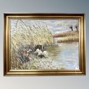 Continental school : retrievers in marsh land, oil on canvas,