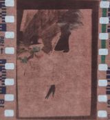 A vintage 35mm negative of Marilyn Monroe on her honeymoon in Feb 1954 entertaining the US troops