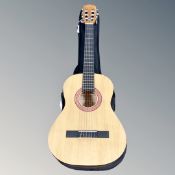 An Eleca acoustic guitar in carry bag.