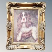 A Continental colour print - Spaniel, 39 cm x 29 cm.