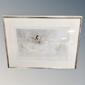 A R G Wright signed colour print depicting a duck in flight, framed.