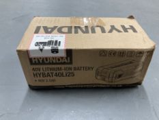 A Hyundai 40 volt lithium iron battery,