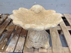 A concrete garden shell bird bath on stand