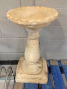 A concrete garden circular topped bird bath on pedestal