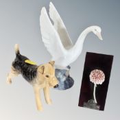 A Nao swan,