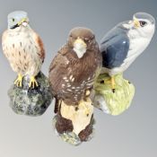 Three Whyte & MacKay Scotch Whisky birds of prey decanters : Kestrel, 200ml, Merlin,