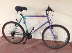 A Free Spirit Hollywood mountain bike