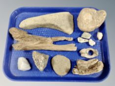A tray of assorted rock and driftwood samples