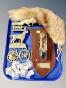 A deer's hoof mounted on oak shield together with a fox tail, brass figures,