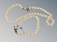 A pearl necklet with silver clasp