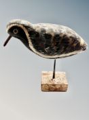 A confidence decoy plover, American,