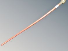 A walking stick with brass head pommel