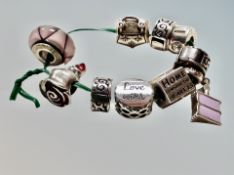 Ten Chamilla silver, silver and glass, silver and enamel charm beads,