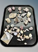 A collection of sea shells etc