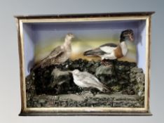 A Victorian taxidermy group of three birds (Af)