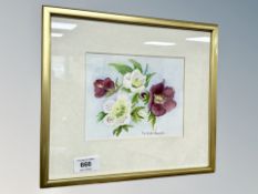 Margaret Adamson : Still life of flowers, watercolour,