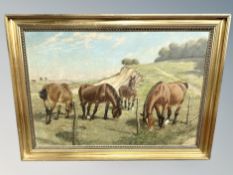 C Herpz : horses in a field, oil on canvas,