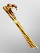 A bundle of vintage wooden walking sticks