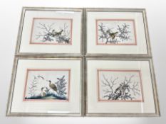 19th Century Chinese School : A set of four gouache studies on pith depicting exotic birds,