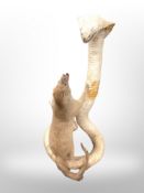 A taxidermy mongoose fighting a cobra (Af),