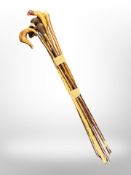 Six vintage walking sticks with carved animal head pommels