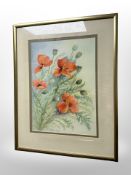 Margaret Adamson : Still life of poppies, watercolour,