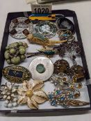 Eighteen good quality brooches including Scottish agate, birds, mourning brooch etc.,