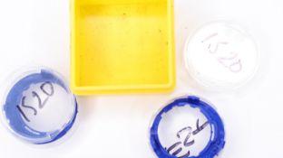 *To Be Sold Without Reserve* Unreserved containers mixed lot