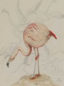 Carolyn Hubbard-Ford (b.1947)