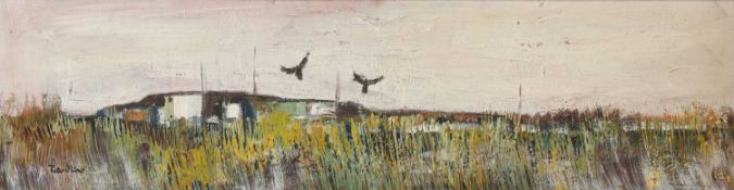 Peter Oliver (1927-2006)