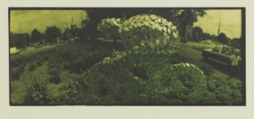 Peter Anderson (b.1954)