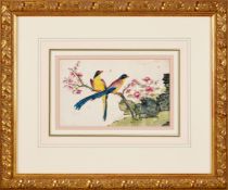 Two 19th century Chinese framed painting on bark