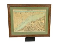 Mountains & Rivers, Johnson & Ward, circa 1880