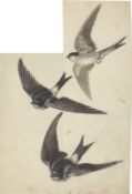 Otto Speckter. Three swallows (+ 2 supplements).