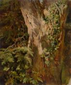 French, circa 1850. Tree study.