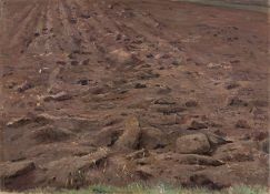 Theodor Hagen. Field (study).