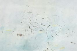 Rosilene Luduvico. ”Blow”. 2005