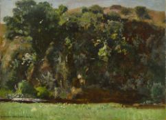 Eugen Bracht. ”Hahnebach im Hunsrück”. 1898