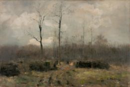 Höckner, Rudolf; Waldlandschaft